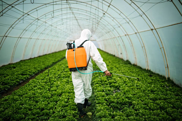 Best Commercial Pest Control Services  in Crystal Springs, MS