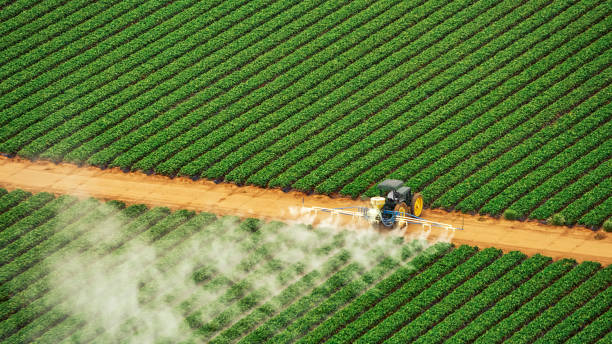 Best Mosquito Control Services  in Crystal Springs, MS