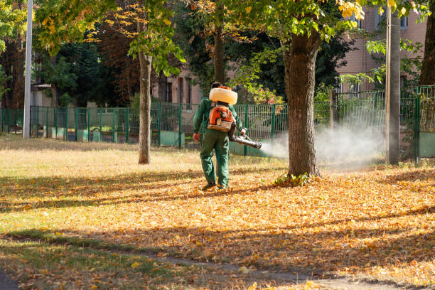Best Best Pest Control Companies  in Crystal Springs, MS